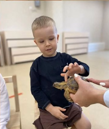 Мальчик осторожно гладит черепаху