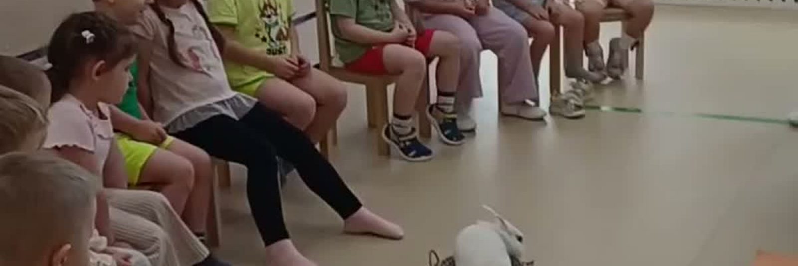 Дети сидят полукругом, в центре комнаты корзинка с белым кроликом — встреча с живым уголком в детском саду «Розовая башня»